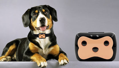 Cross-Border GPS Pet Tracker with Advanced Features and Adjustable Strap